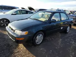 Toyota Corolla salvage cars for sale: 1996 Toyota Corolla DX