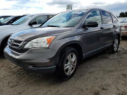 Flood-damaged cars for sale at auction: 2010 Honda CR-V EX