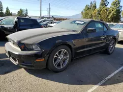 Muscle Cars for sale at auction: 2014 Ford Mustang