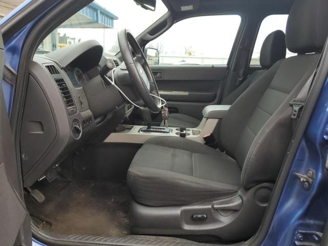 2009 Ford Escape XLT