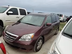 Salvage cars for sale from Copart Arcadia, FL: 2007 Honda Odyssey EX