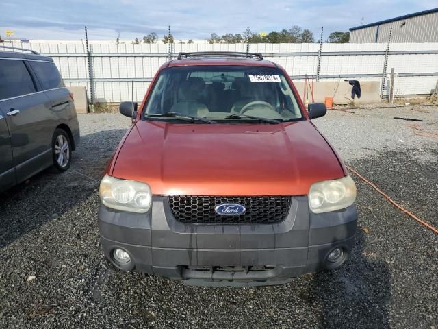 2006 Ford Escape XLT