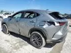 2023 Lexus NX 350