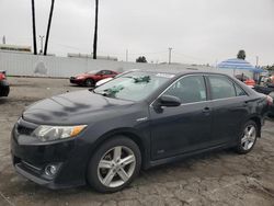 Carros híbridos a la venta en subasta: 2014 Toyota Camry Hybrid