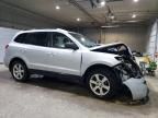 2009 Hyundai Santa FE SE