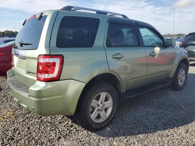 2008 Ford Escape HEV