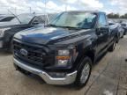 2023 Ford F150