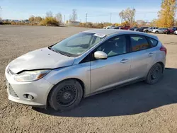 Ford salvage cars for sale: 2014 Ford Focus SE