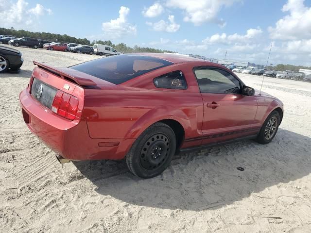 2005 Ford Mustang