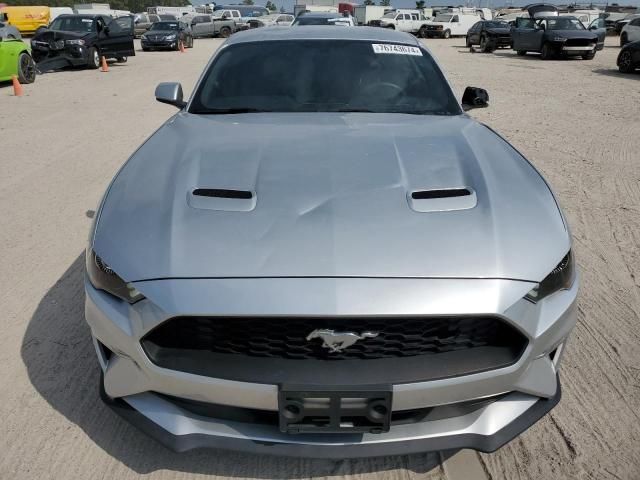 2019 Ford Mustang