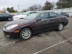 2002 Lexus ES 300