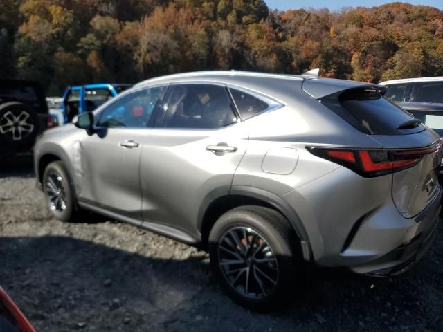 2025 Lexus NX 350H Base