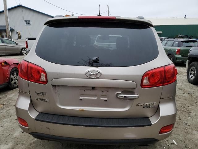 2007 Hyundai Santa FE SE