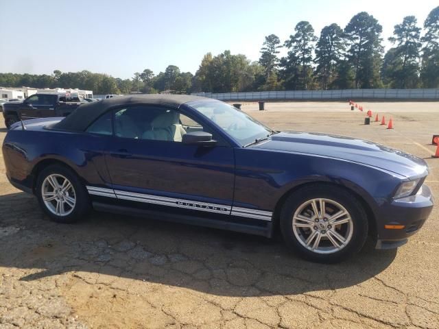 2010 Ford Mustang