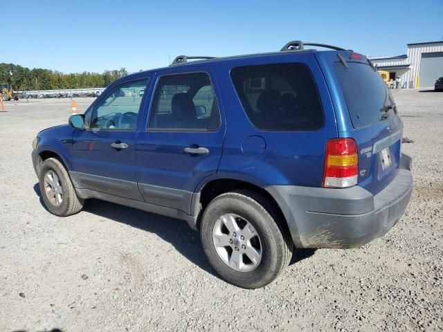 2007 Ford Escape XLT