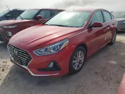 Salvage cars for sale at Riverview, FL auction: 2019 Hyundai Sonata SE