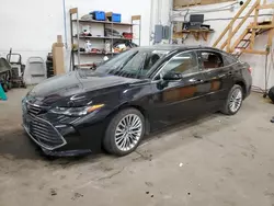 Salvage cars for sale at Ham Lake, MN auction: 2019 Toyota Avalon XLE