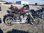 2014 Harley-Davidson Vrscf Vrod Muscle