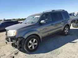 Honda salvage cars for sale: 2009 Honda Pilot EXL