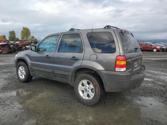 2006 Ford Escape XLT