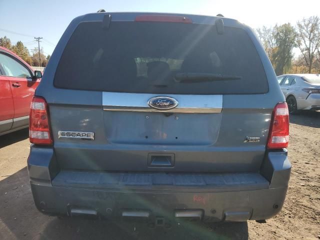 2011 Ford Escape Limited