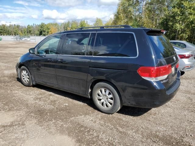 2008 Honda Odyssey EXL