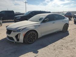 Salvage cars for sale at Andrews, TX auction: 2023 Cadillac CT5-V Blackwing