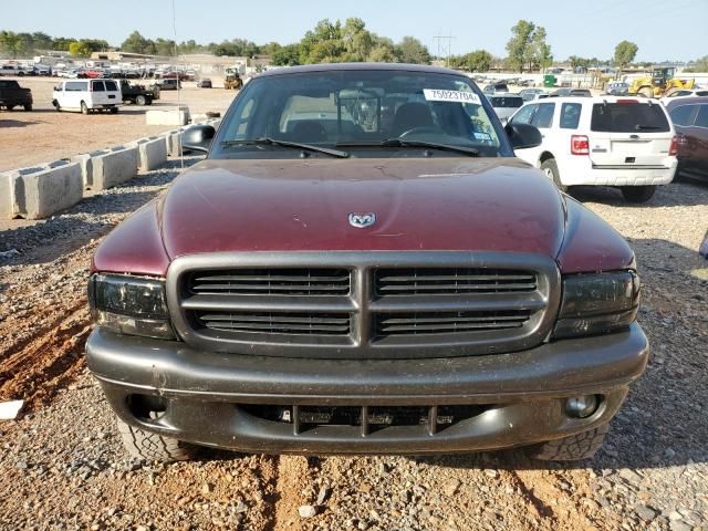 2002 Dodge Dakota Base