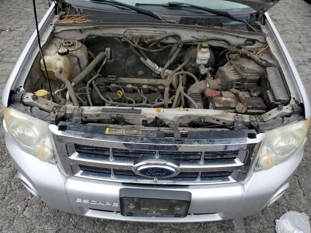 2010 Ford Escape XLS