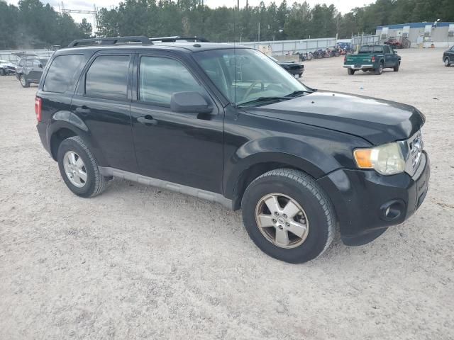 2009 Ford Escape XLT