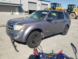 Salvage cars for sale at Earlington, KY auction: 2008 Ford Escape XLT