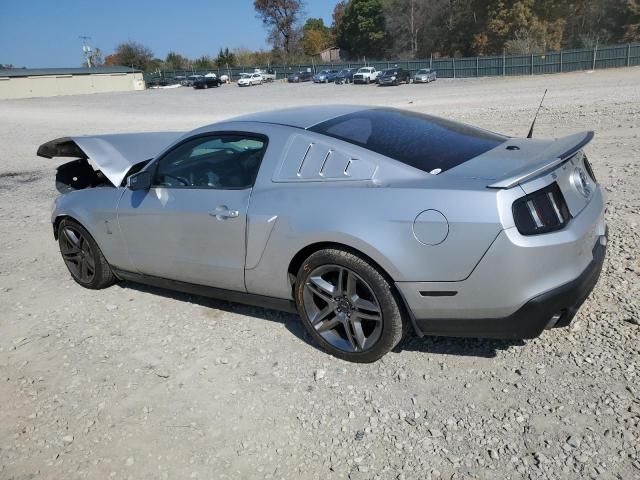 2011 Ford Mustang Shelby GT500