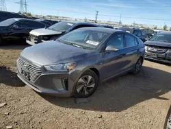 Hyundai Ioniq SEL salvage cars for sale: 2019 Hyundai Ioniq SEL