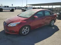 Salvage cars for sale at Anthony, TX auction: 2014 Ford Focus SE