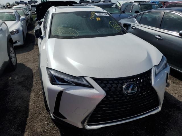 2019 Lexus UX 200