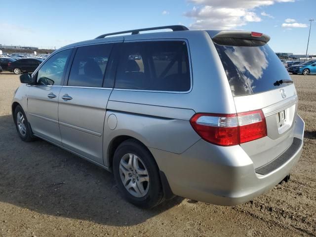 2005 Honda Odyssey EXL