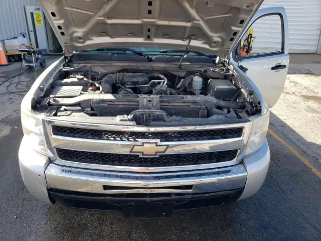 2010 Chevrolet Silverado C1500