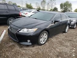 Lexus Vehiculos salvage en venta: 2014 Lexus ES 350