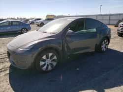 Tesla Model y Vehiculos salvage en venta: 2021 Tesla Model Y