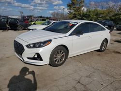 Salvage cars for sale at Lexington, KY auction: 2019 Hyundai Sonata SE