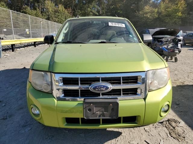 2011 Ford Escape XLT