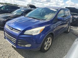 Salvage cars for sale at Riverview, FL auction: 2015 Ford Escape SE