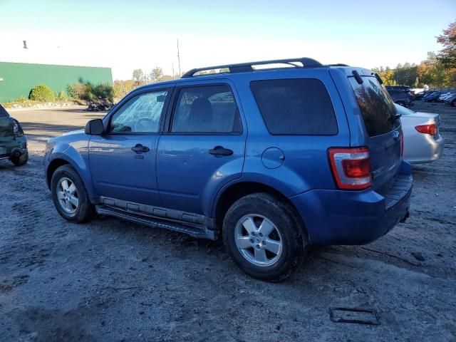 2010 Ford Escape XLT