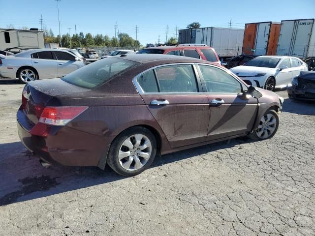 2010 Honda Accord EXL