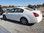 2004 Nissan Maxima SE