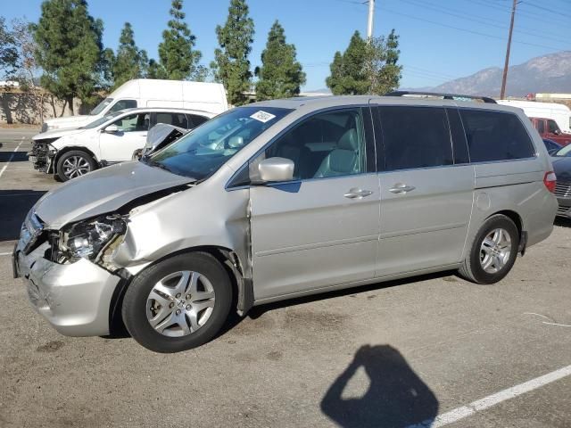 2005 Honda Odyssey EXL