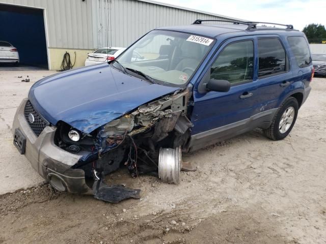 2007 Ford Escape XLT