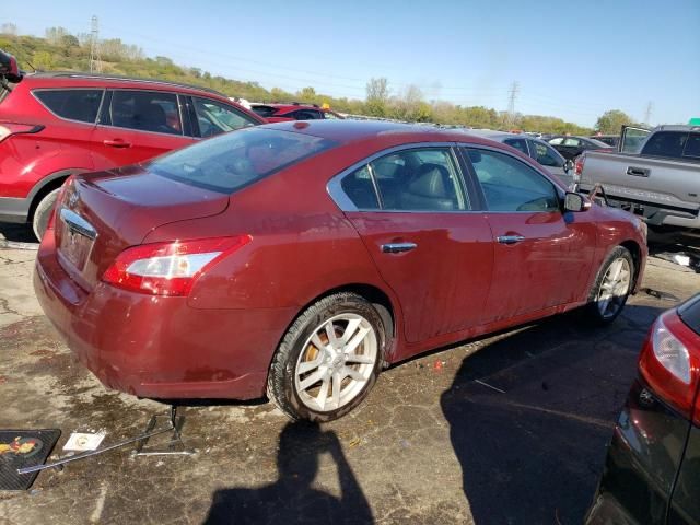 2010 Nissan Maxima S