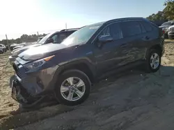 Toyota rav4 xle salvage cars for sale: 2020 Toyota Rav4 XLE