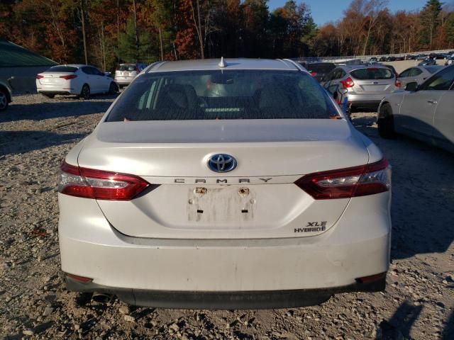 2019 Toyota Camry Hybrid